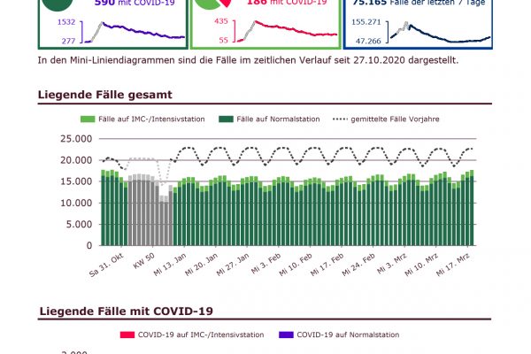 DIVI_Intensivregister_Report-3.pdf